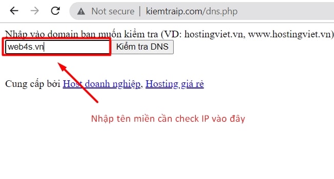 Check IP tên miền
